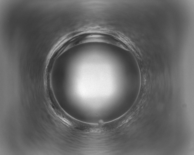 X0000056380344200508261206
