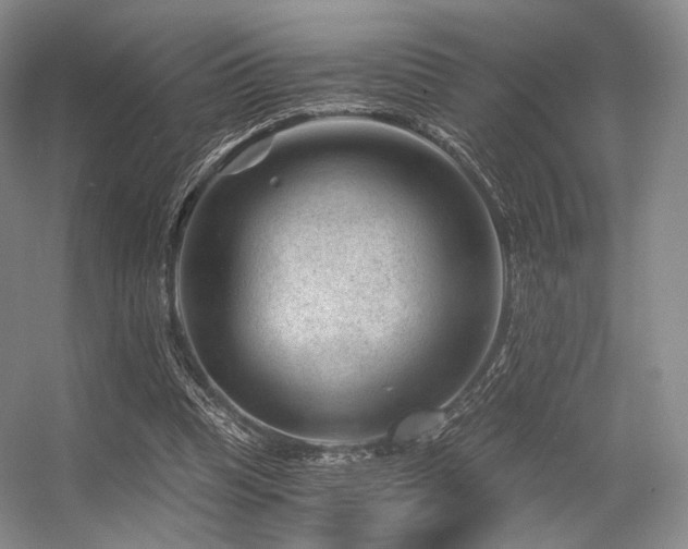 X0000056380345200508261206