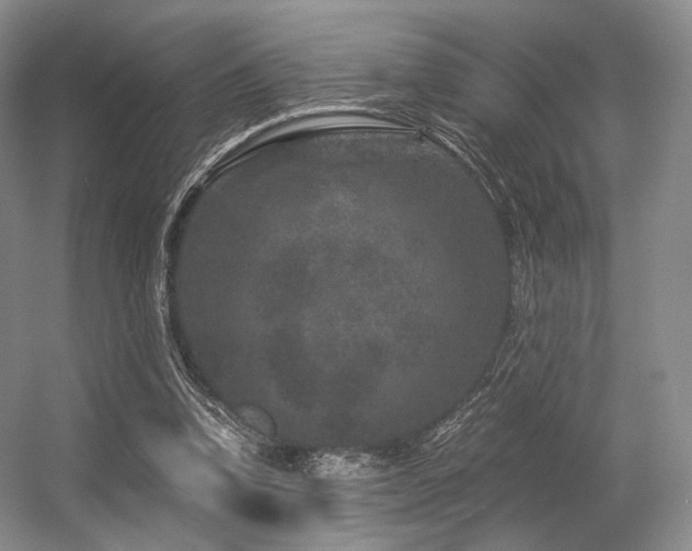 X0000056380346200508261206