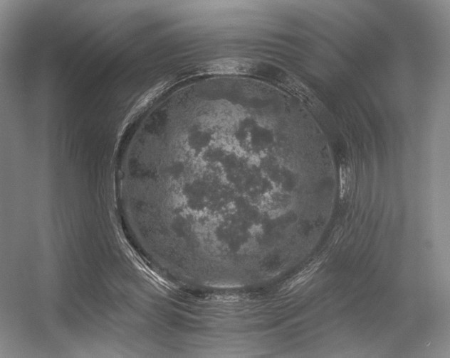 X0000056380349200508261206