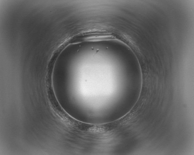 X0000056380354200508261206