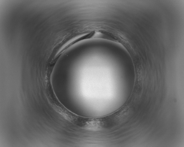 X0000056380362200508261206