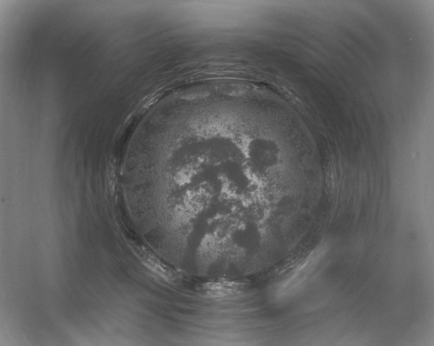 X0000056380367200508261206