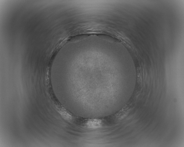X0000056380369200508261206