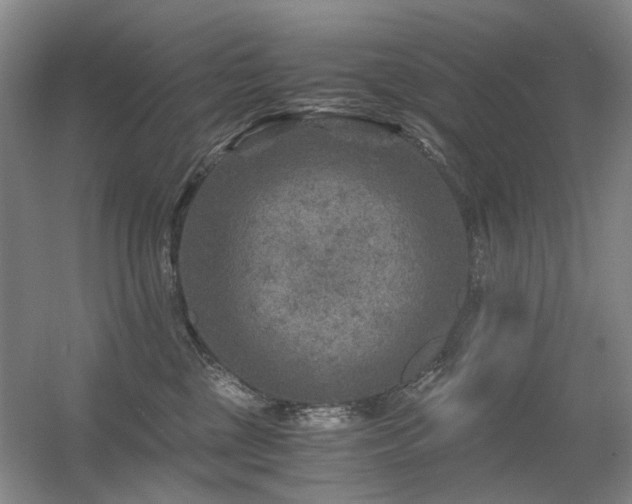 X0000056380377200508261206