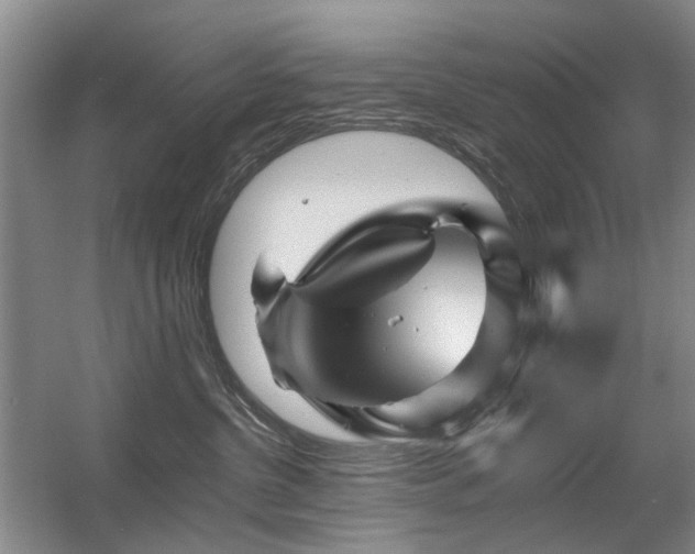 X0000056380380200508261206