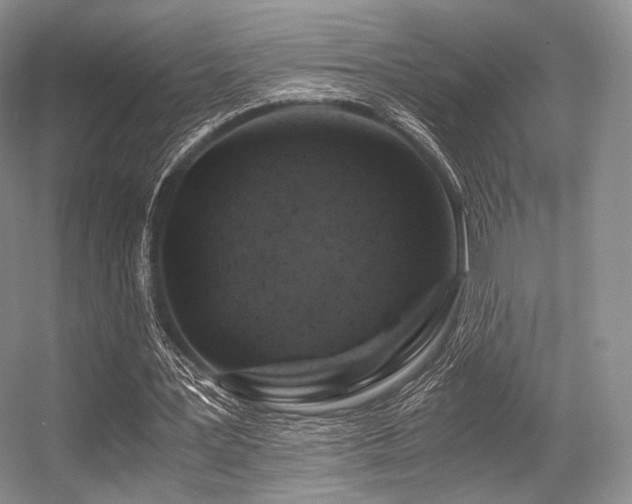 X0000056380387200508261206