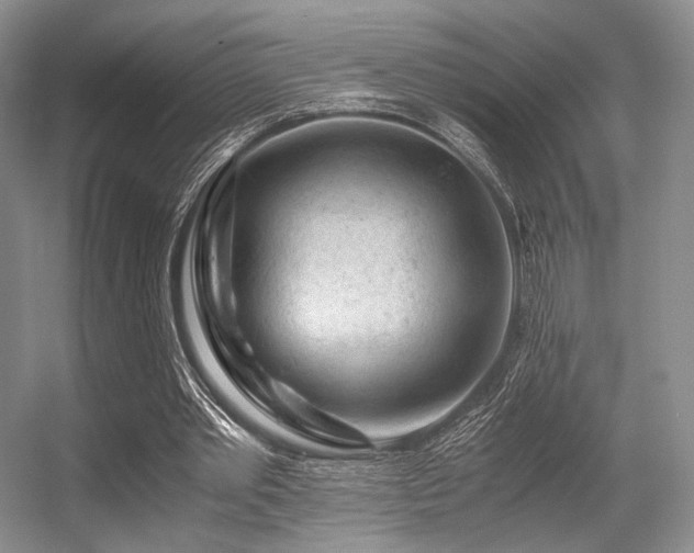 X0000056380389200508261206