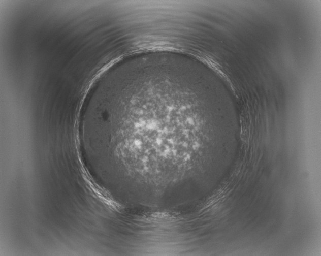X0000056380390200508261206