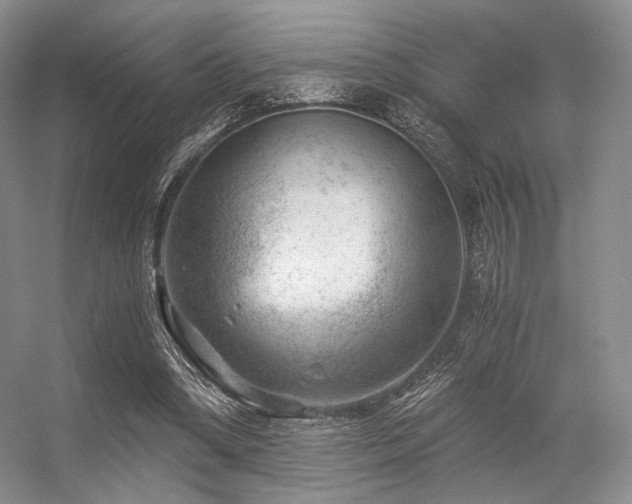 X0000056380394200508261206
