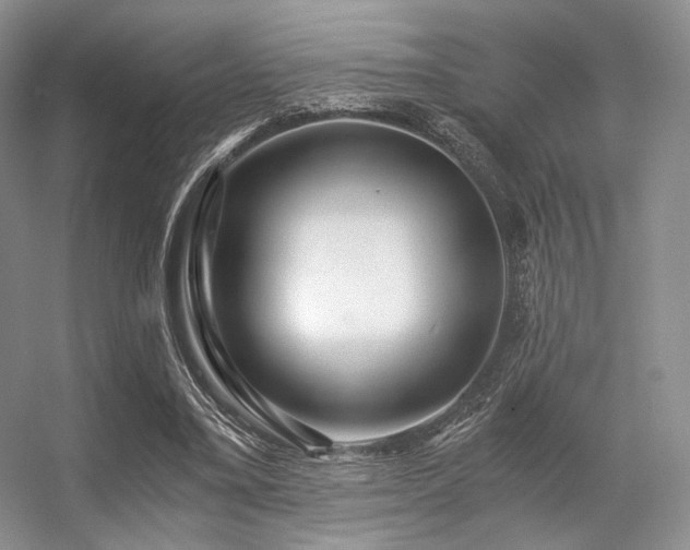 X0000056380395200508261206