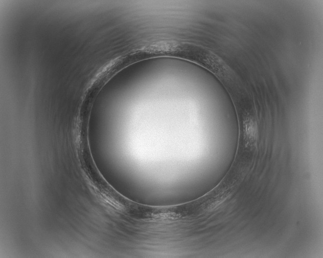 X0000056380396200508261206