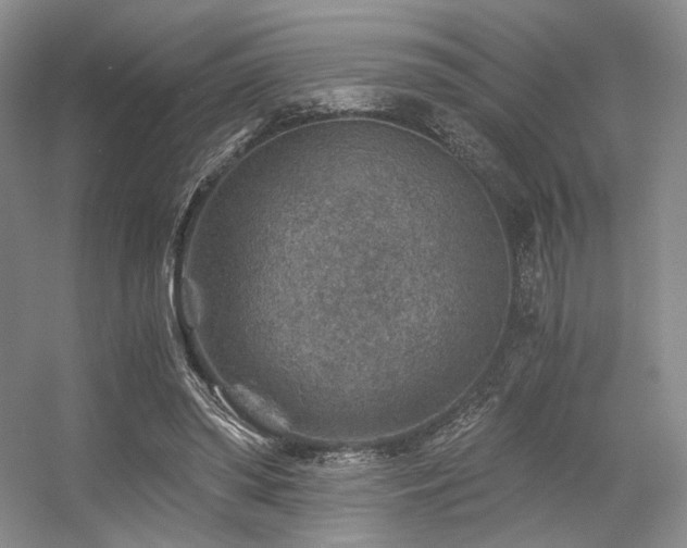 X0000056380398200508261205
