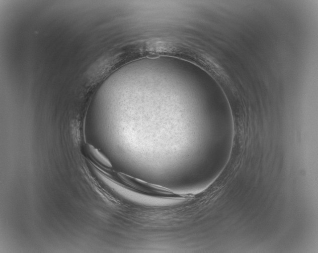 X0000056380401200508261205