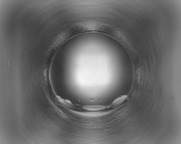 X0000056380406200508261205