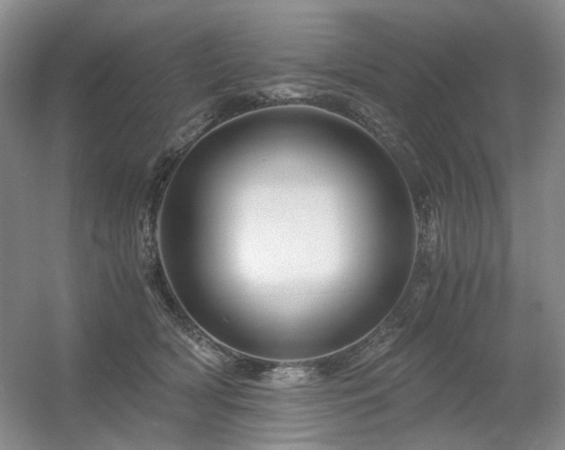 X0000056380418200508261205
