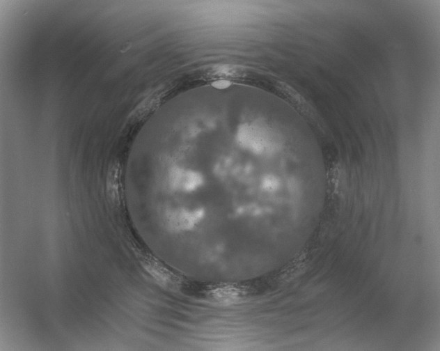X0000056380423200508261205