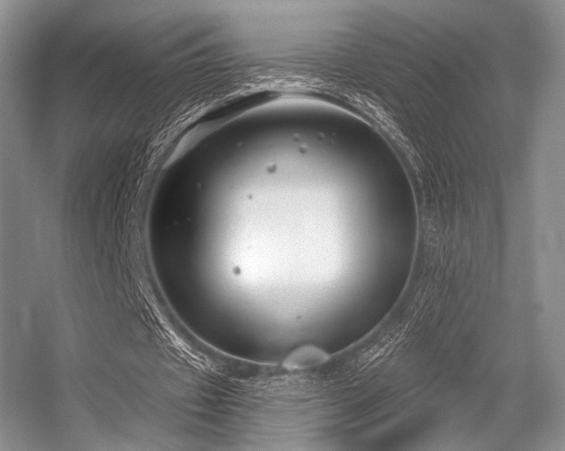 X0000056380433200508261204