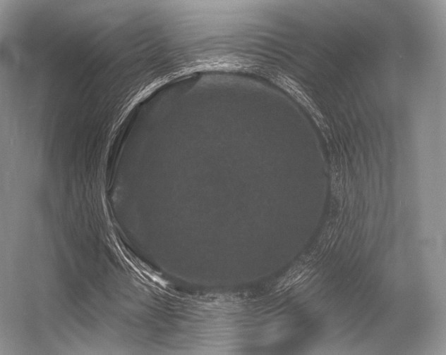 X0000056380434200508261204