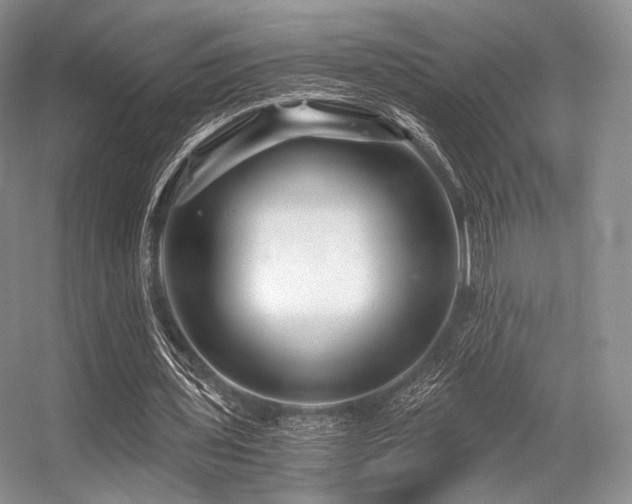 X0000056380435200508261204
