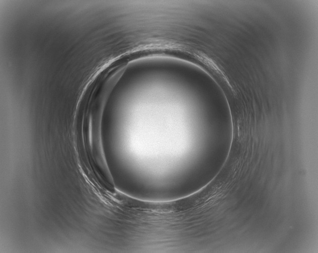 X0000056380436200508261204