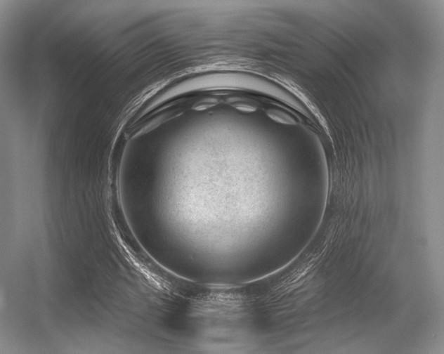 X0000056380437200508261204