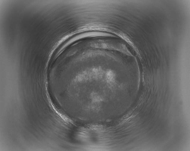 X0000056380438200508261204
