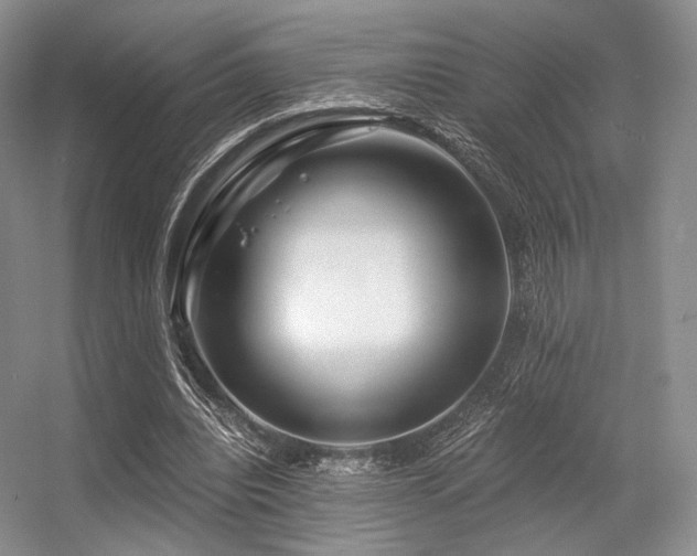 X0000056380440200508261204