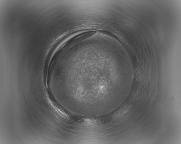 X0000056380442200508261204