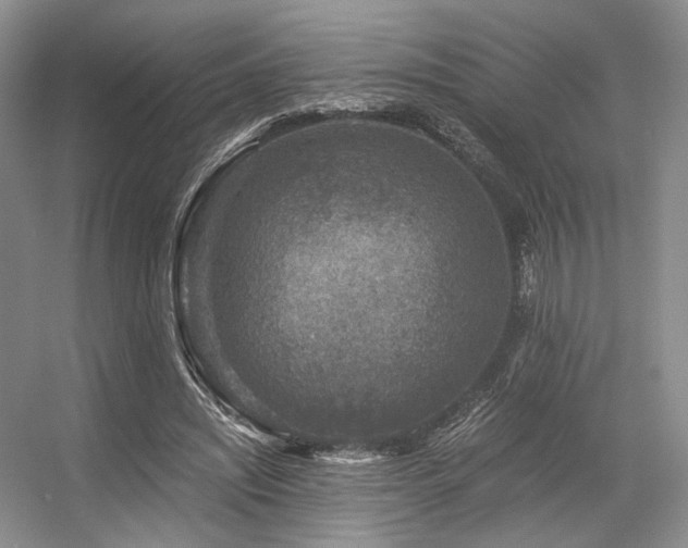 X0000056380444200508261204