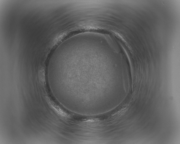 X0000056380447200508261204