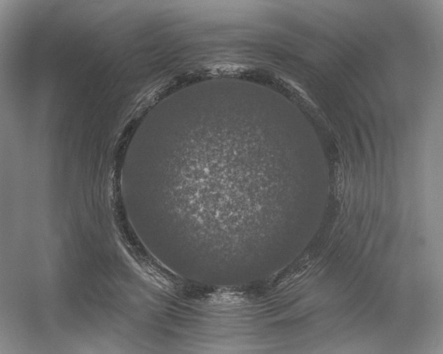 X0000056380451200508261204