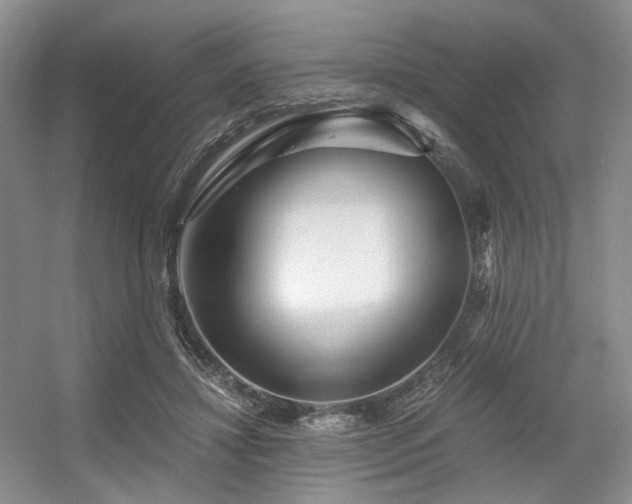 X0000056380452200508261204