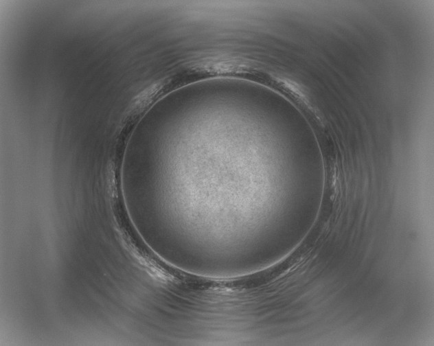 X0000056380453200508261204