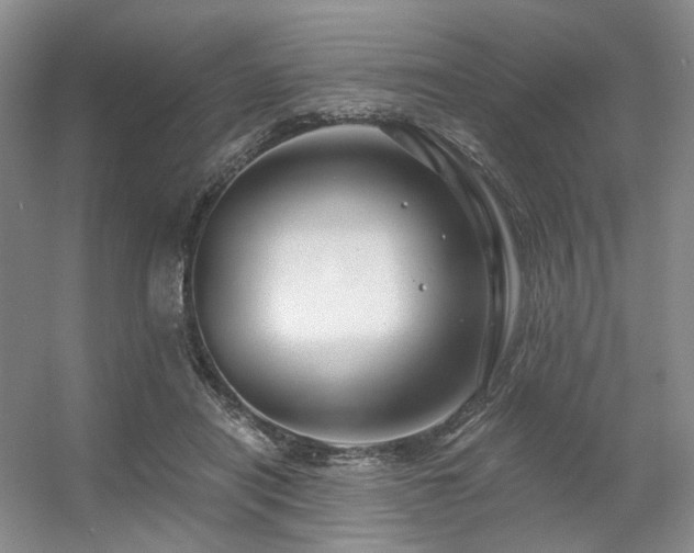 X0000056380454200508261204