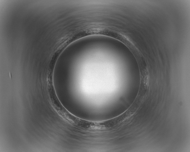 X0000056380455200508261204