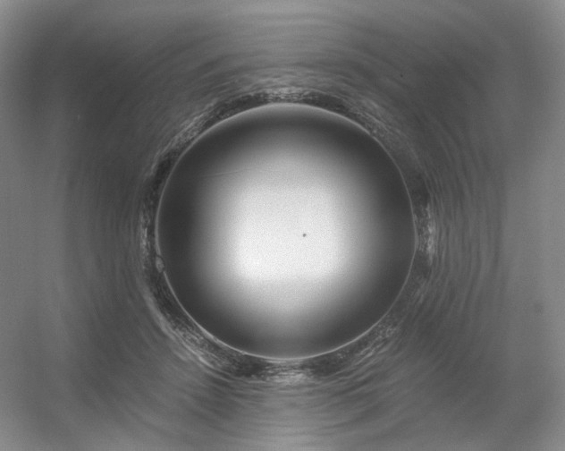 X0000056380456200508261204