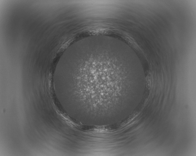 X0000056380458200508261205