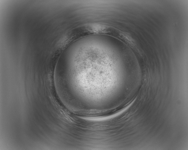 X0000056380461200508261205