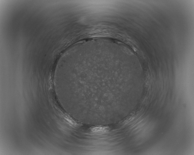X0000056380465200508261205