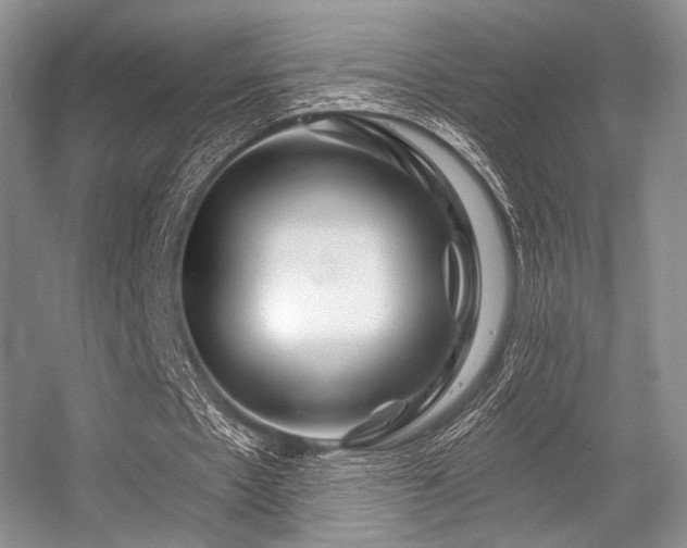 X0000056380481200508261204