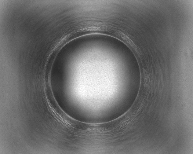 X0000056380482200508261204