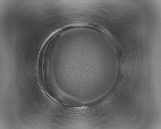 X0000056380484200508261204
