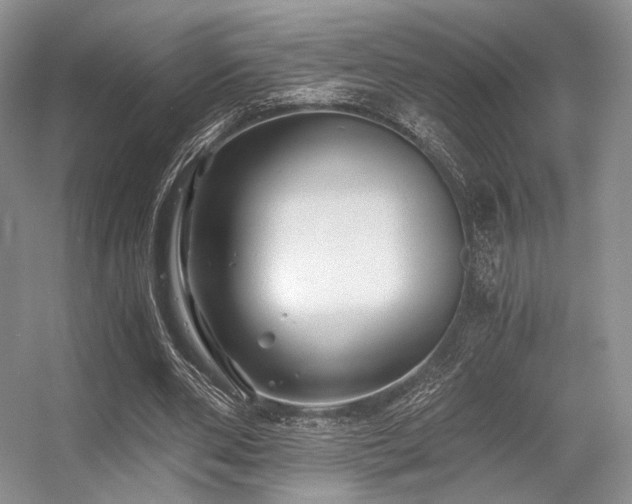X0000056380486200508261204