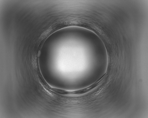 X0000056380489200508261204