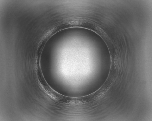 X0000056380490200508261204