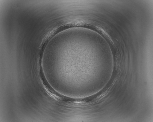 X0000056380493200508261204