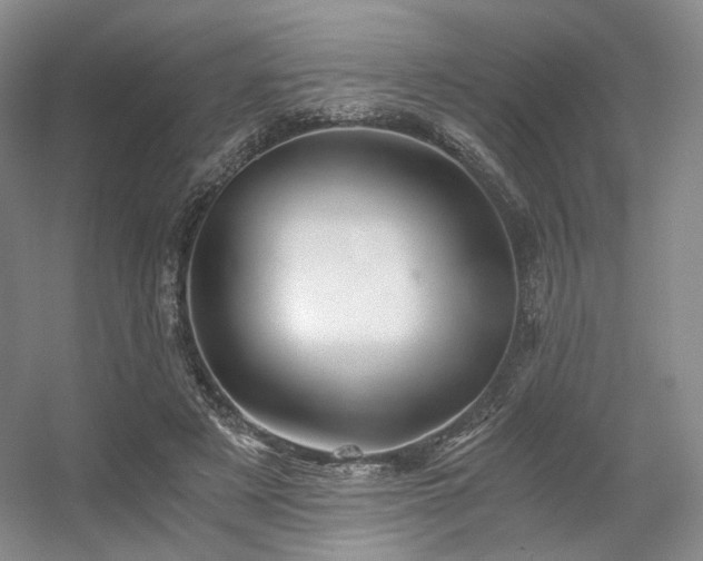 X0000056380497200508261204