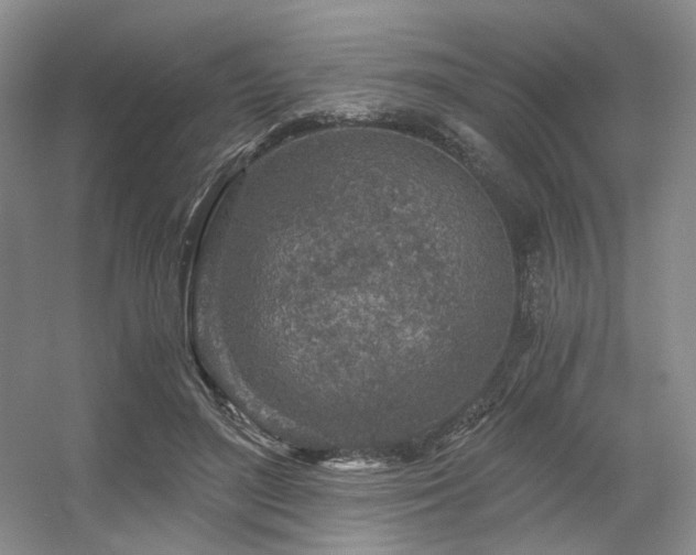 X0000056380500200508261204