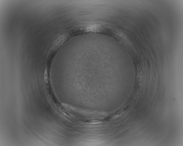 X0000056380502200508261204